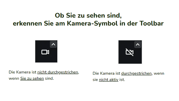 Ob Sie zu sehen sind, erkennen Sie am Kamera-Symbol in der Toolbar